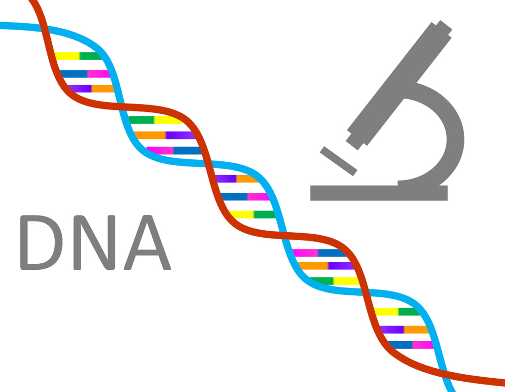 A microscope and a rainbow colored dna strand.