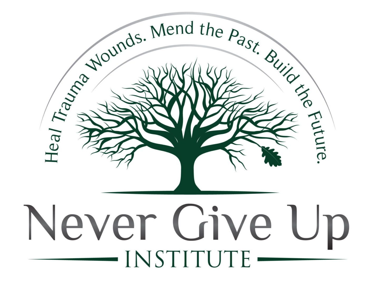 Never Give Up Institute